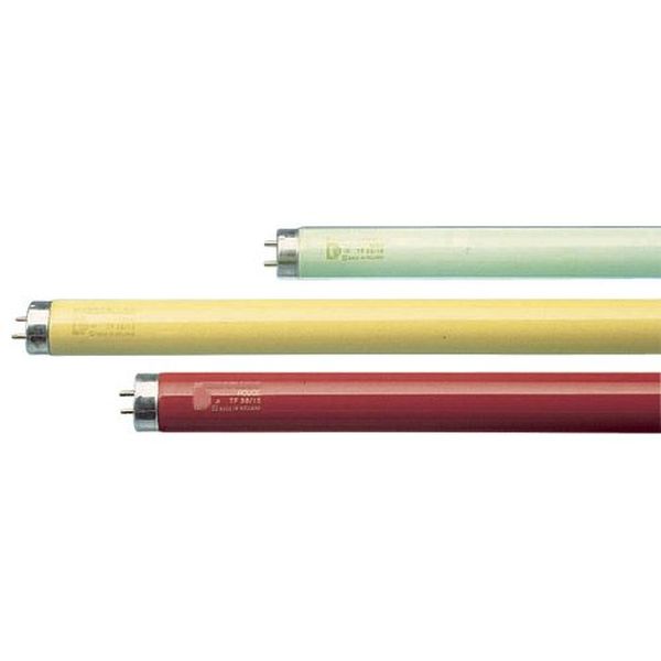 [L-72204] Tube F18W T8 Bleu G13 590mm fluorescent couleur