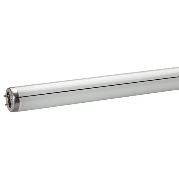 [L-75004] Tube IRS F65W T12 Blanc Industrie 1500mm 4200°K fluorescent fluorescent